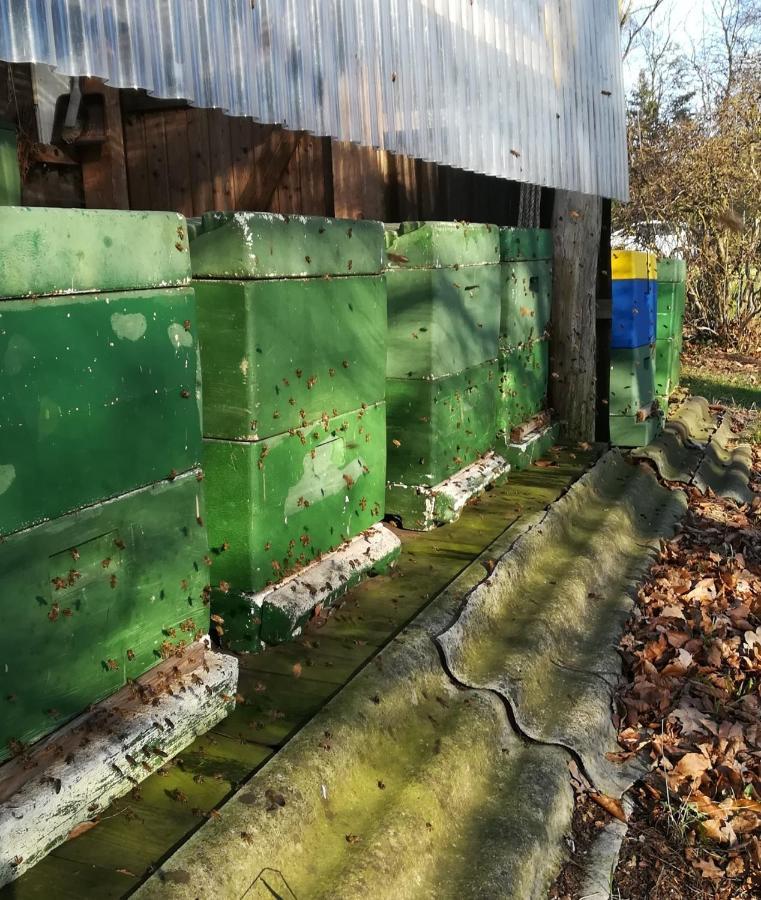 Ferienwohnung Wiesenweg Bad Bederkesa Εξωτερικό φωτογραφία